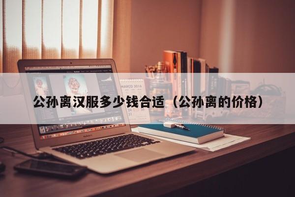 公孙离汉服多少钱合适（公孙离的价格）