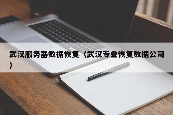 武汉服务器数据恢复（武汉专业恢复数据公司）