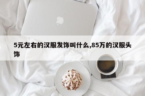 5元左右的汉服发饰叫什么,85万的汉服头饰