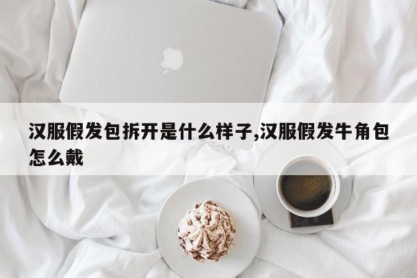 汉服假发包拆开是什么样子,汉服假发牛角包怎么戴