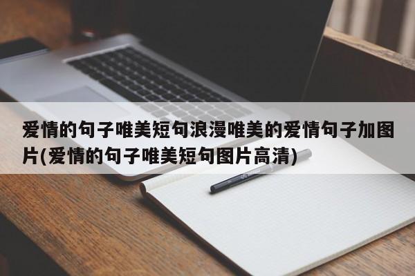 爱情的句子唯美短句浪漫唯美的爱情句子加图片(爱情的句子唯美短句图片高清)