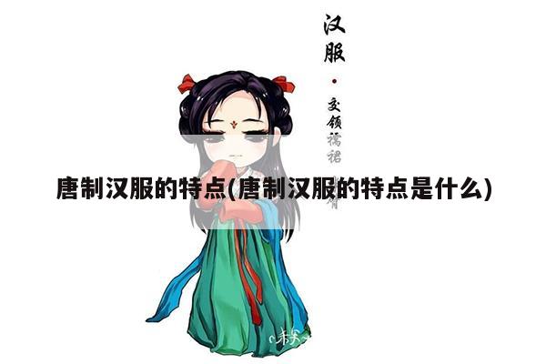 唐制汉服的特点(唐制汉服的特点是什么)