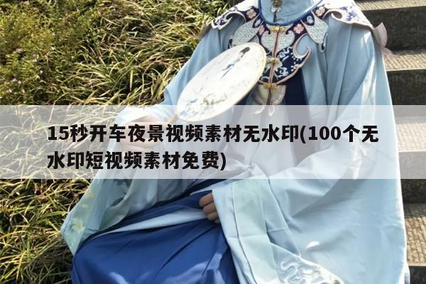 15秒开车夜景视频素材无水印(100个无水印短视频素材免费)