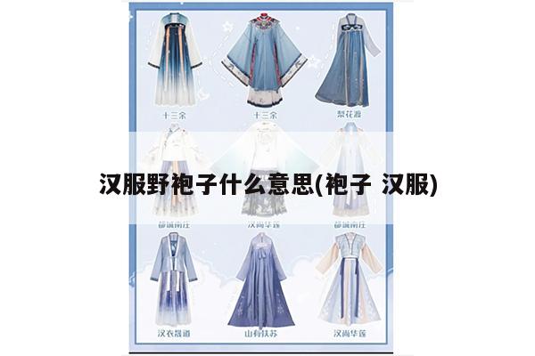 汉服野袍子什么意思(袍子 汉服)