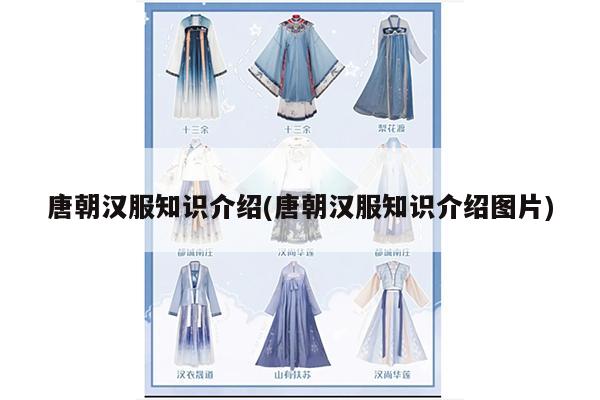 唐朝汉服知识介绍(唐朝汉服知识介绍图片)