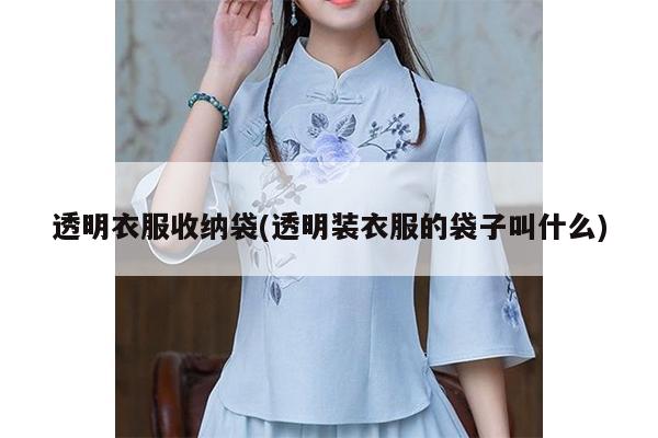 透明衣服收纳袋(透明装衣服的袋子叫什么)