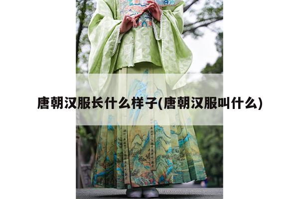 唐朝汉服长什么样子(唐朝汉服叫什么)