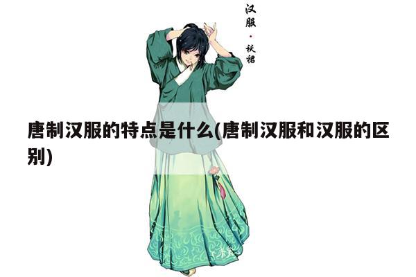 唐制汉服的特点是什么(唐制汉服和汉服的区别)