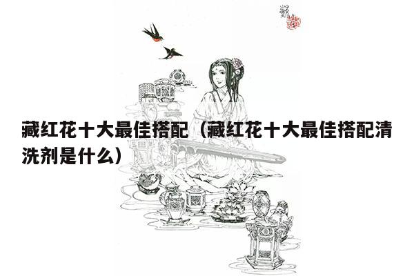 藏红花十大最佳搭配（藏红花十大最佳搭配清洗剂是什么）