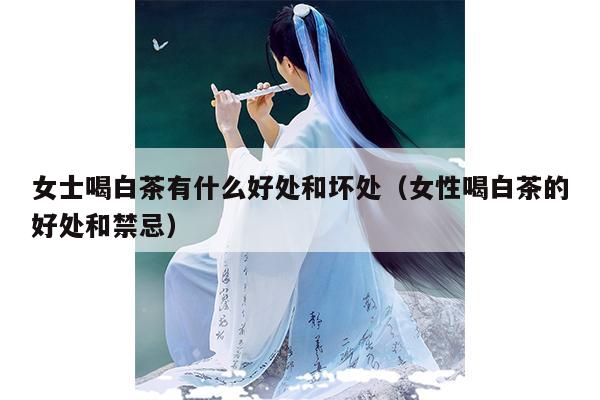 女士喝白茶有什么好处和坏处（女性喝白茶的好处和禁忌）