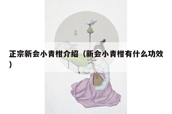 正宗新会小青柑介绍（新会小青柑有什么功效）