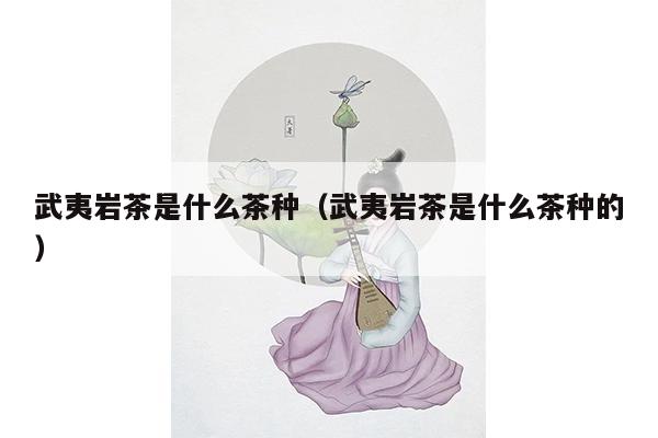 武夷岩茶是什么茶种（武夷岩茶是什么茶种的）